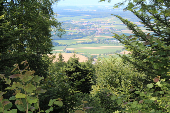 Replacement hike/walk: Kiffis Photo
