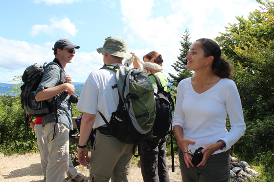 Replacement hike/walk: Kiffis Photo