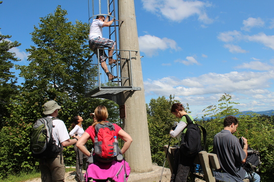 Replacement hike/walk: Kiffis Photo