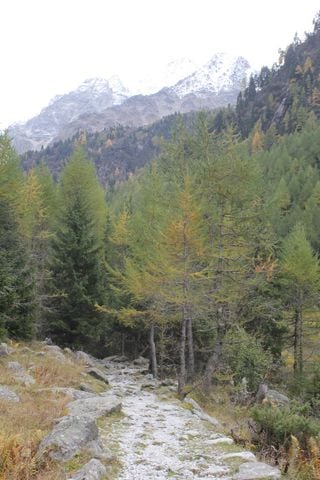 ** Glacier Hike - TRIENT ** Photo