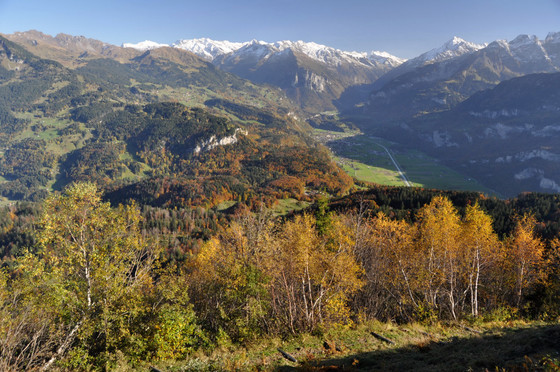 View towards Meiringen Photo