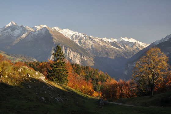 Fall colors and snowy summits Photo