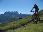 Freeride/downhill trail biking