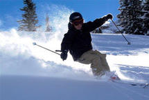 LIMITED Expert Royal Safari with Davos guide