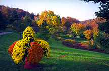 Hiking : Aubonne Arboretum Picture