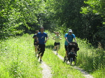 Fribourg/Freiburg Hash House Harriers Run/Walk no. 3 Picture