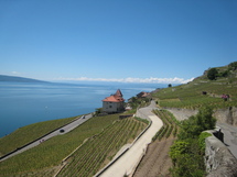 Vevey - Super Saturday Lavaux Vineyard Hike, Swim & BBQ Picture