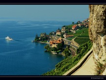 Vevey - Super Saturday Swim & BBQ Picture