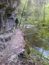 Hike #7: A bear of ages Picture