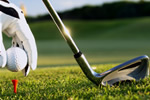 Free golf event for ASG GolfCard Migros members Picture