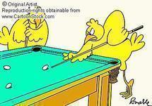** Pool Evening & drinks*** After work Picture