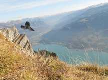 Hike – from Sterkenbach (890m) to Frümsel (2270m) Picture