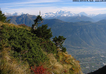 ** Chestnut Hike! - OVRONNAZ ** Picture