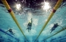 Scuba Group swimming and apnea training