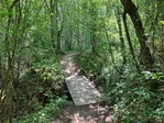 „A flat“ 15 Km Sunday morning walk in Versoix Photo
