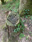„A flat“ 15 Km Sunday morning walk in Versoix Photo