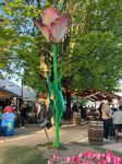 Walk: Tulips - Morges, A.Hepburn visit, Morges-Lausanne Photo