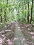 Saturday stroll: Bossy-Versoix - meet up at 09h50 Photo