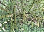 Walk around Dardagny - meet up 09h40 Photo