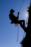 Easy* climb and/or Hike in Leysin. *Beginners Welcome. Photo