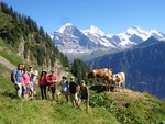 Hike: Schynige Platte & the quest for the yodeling cow Photo