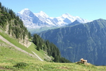 Hike: Schynige Platte & the quest for the yodeling cow Photo