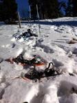 Snowshoeing at Les Mosses Photo