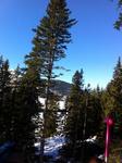 Snowshoeing at Les Mosses Photo