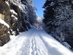 Hike in Torgon, Portes du Soleil, Chablais, Valais, CH Photo