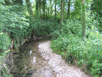 Walking along the Drize river Photo