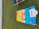 Picnic and free movie at Cinetransat - Veggie edition Photo