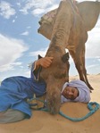 16-22 February Sahara Desert / Oasis/ Arid Plains TREK Photo