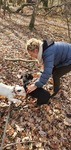 Hiking with dogs -February Edition - Peney-Dessous, GE Photo