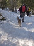 Hiking with Dogs - February Edition - Gimel, Vaud Photo