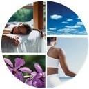 Life Touch - Life Coaching Picture