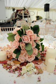 Infinite Weddings - Your Perfect Wedding & Event Planner Picture