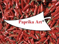 Paprika Art Picture