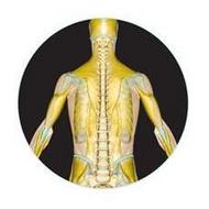 mobi-physio Picture