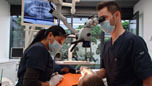 Centre Médico-Dentaire Balexert Picture