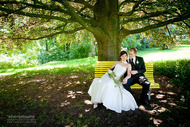 Wedding Photographer : silversatsuma Picture
