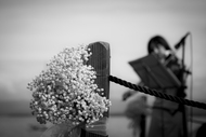 Professional violinist for your wedding, private event, ceremony.  Picture