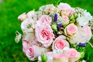 Kate's Blooms Picture