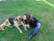 Dog Walking-Pet Sitting Picture