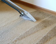 Carpets & Rugs cleaning Picture