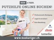 Book a professional private cleaner in Bern! Picture