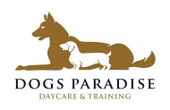 Dogs Paradise Picture