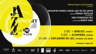 JAZZ ON THE WATER - Franck Tortillier (F) / Marc Perrenoud (CH) Picture