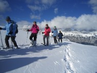 Snowshoe trips & Hiking Picture