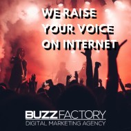 Buzz Factory  Picture