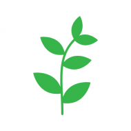 TheHealthCoaching Picture